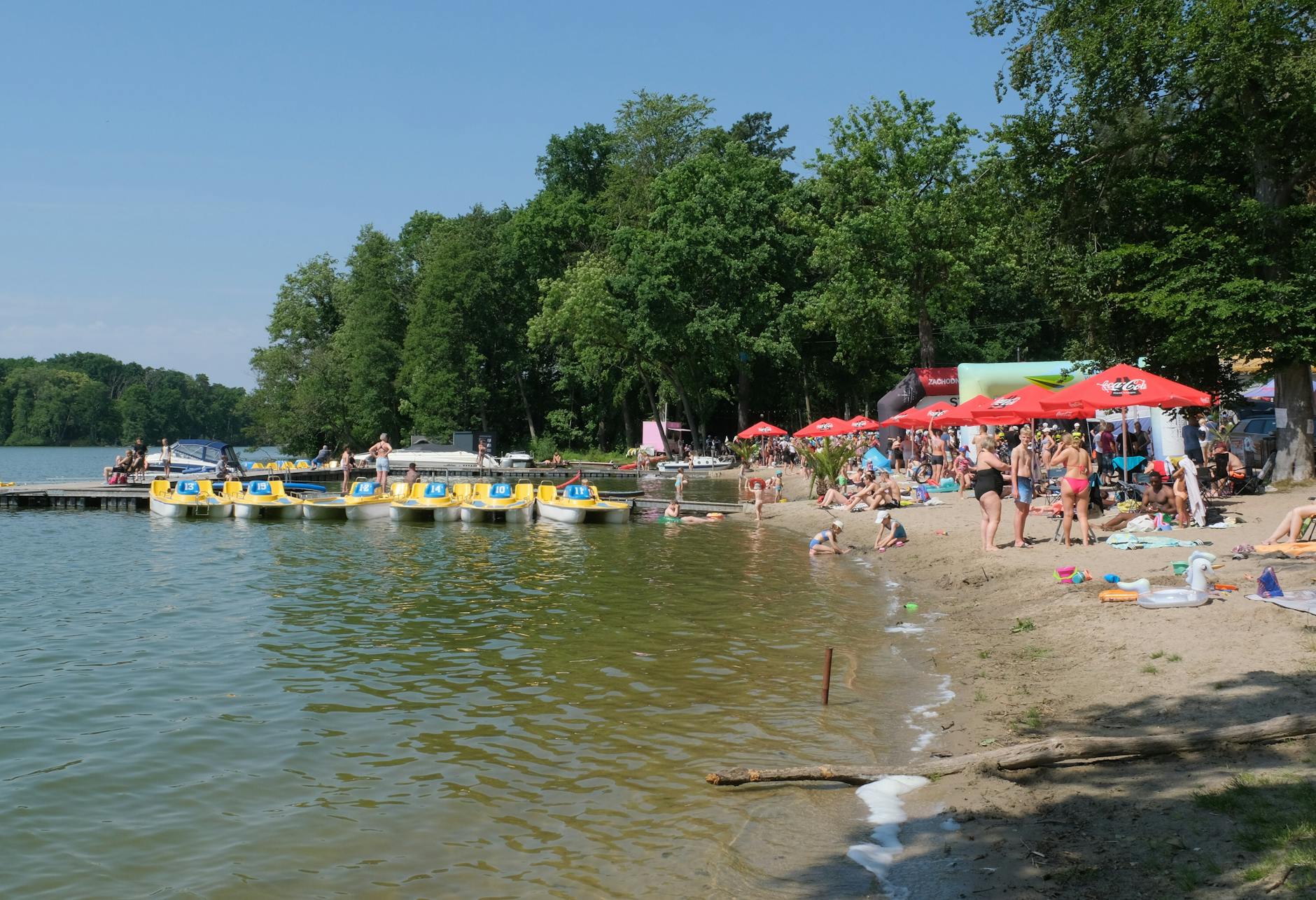 Widok na zamek w Sanoku z rzeką San w tle podczas słonecznego dnia.